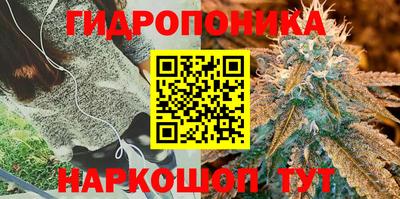 гашик Лесосибирск